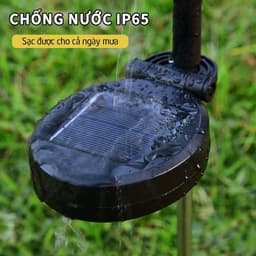 Đèn LED năng lượng mặt trời HOA SEN chống nước Trang trí Sân vườn Đám cưới Ngày lễ 2
