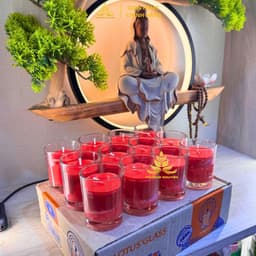 Hộp 12 Ly Nến Bơ Tự Nhiên T77 Cao Cấp Không Khói Không Độc Hại Cháy 12-15 Giờ Dùng Thờ Cúng Thiền Định Lễ Chùa 1