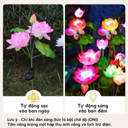 Đèn LED năng lượng mặt trời HOA SEN chống nước Trang trí Sân vườn Đám cưới Ngày lễ 3