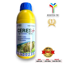 CERES 600SL Hoptri Summit – Giải pháp hỗ trợ xử lý nấm Phytophthora, cải thiện xì mủ – suy rễ sầu riêng, lưu dẫn 2 chiều 4
