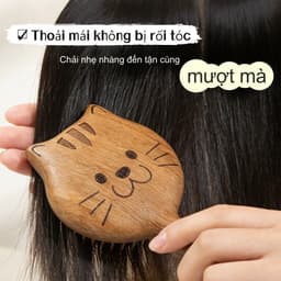 Lược Gỗ Đàn Hương Massage Đầu - Gỡ Rối, Chống Rụng Tóc, Giảm Đứt Gãy, Đệm Khí Đa Năng, Giúp Tóc Khỏe & Ngủ Ngon 8