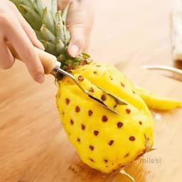 Dụng Cụ gọt Mắt Dứa Nhanh Thần Tốc Bằng Thép Không Gỉ _(cán gỗ) 5