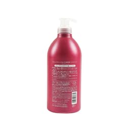 Dầu gội hoa trà phục hồi tóc hư tổn Salon Link (1000ml) 3