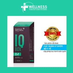 IQ Box Siberian, hỗ trợ tăng cường tuần hoàn máu não, cải thiện trí nhớ, Hộp 30 gói 4
