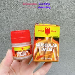 Dầu cù là Con Ó (cao xoa) EAGLE MUSCULAR BALM 20g 1