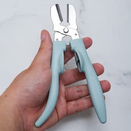 GJ * Dụng cụ bóc vỏ hạt dẻ chống gỉ cho hạt óc chó Thiết kế tiện dụng Dụng cụ mở dụng cụ nhà bếp 9