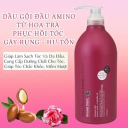 Dầu gội hoa trà phục hồi tóc hư tổn Salon Link (1000ml) 2