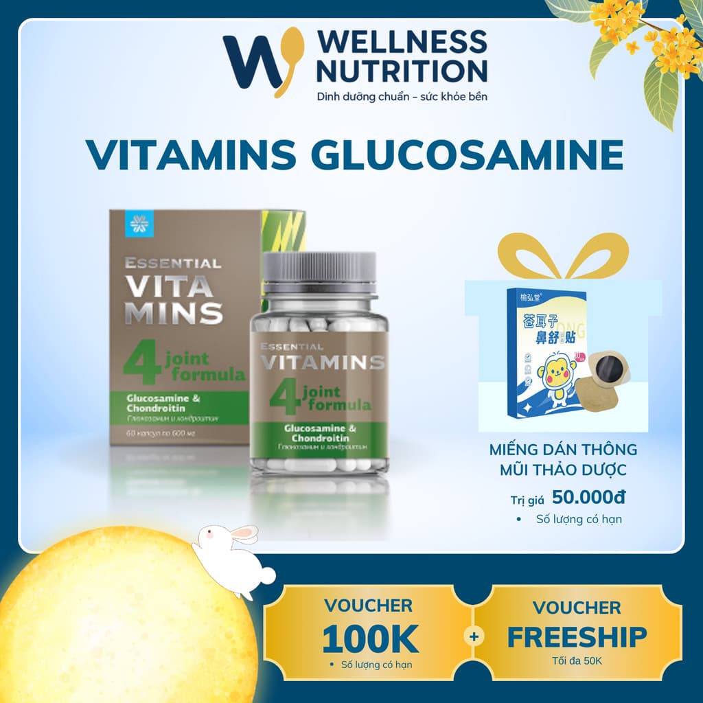 [Hỗ trợ khớp] Thực phẩm bảo vệ sức khỏe Essential Vitamins 4 Glucosamine & Chondroitin