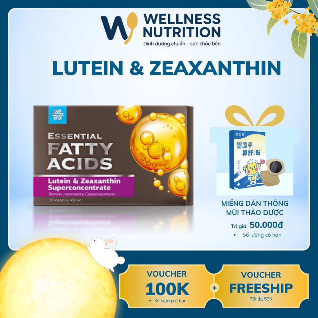 Bộ Mắt sáng tinh anh Essential Fatty Acids Lutein & Zeaxanthin Superconcentrate và Synchrovital VII - NHUNG TPCN HN
