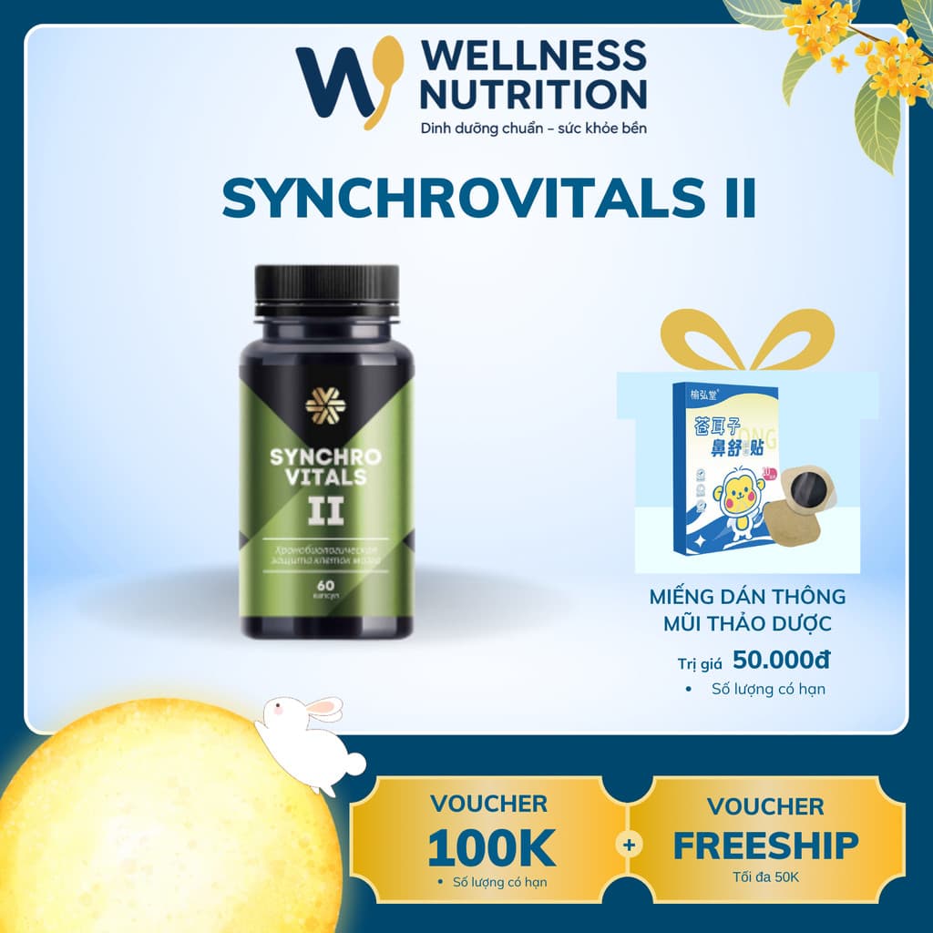 [Hỗ trợ não] Syn 2 - Thực phẩm bảo vệ sức khỏe Synchrovitals II – 60 viên
