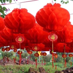 Set 10 Đèn lồng đỏ NILON trang trí Tết, lồng đèn trang trí Lễ Tết , đèn lồng treo decor ngày Tết 3