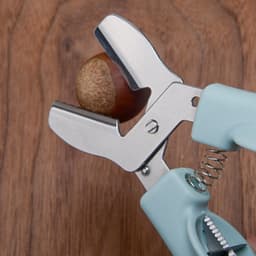 GJ * Dụng cụ bóc vỏ hạt dẻ chống gỉ cho hạt óc chó Thiết kế tiện dụng Dụng cụ mở dụng cụ nhà bếp 4