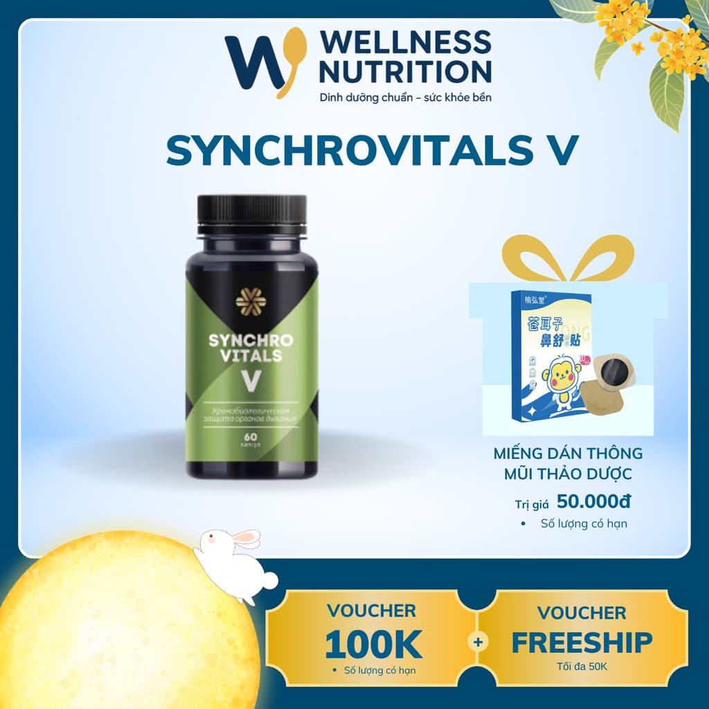 [Hỗ trợ hô hấp] Syn 5 - Thực phẩm bảo vệ sức khỏe Synchrovitals V Siberian - 60 viên