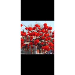 Set 10 Đèn lồng đỏ NILON trang trí Tết, lồng đèn trang trí Lễ Tết , đèn lồng treo decor ngày Tết 2