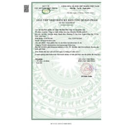 [Hỗ trợ não] Syn 2 - Thực phẩm bảo vệ sức khỏe Synchrovitals II – 60 viên 5