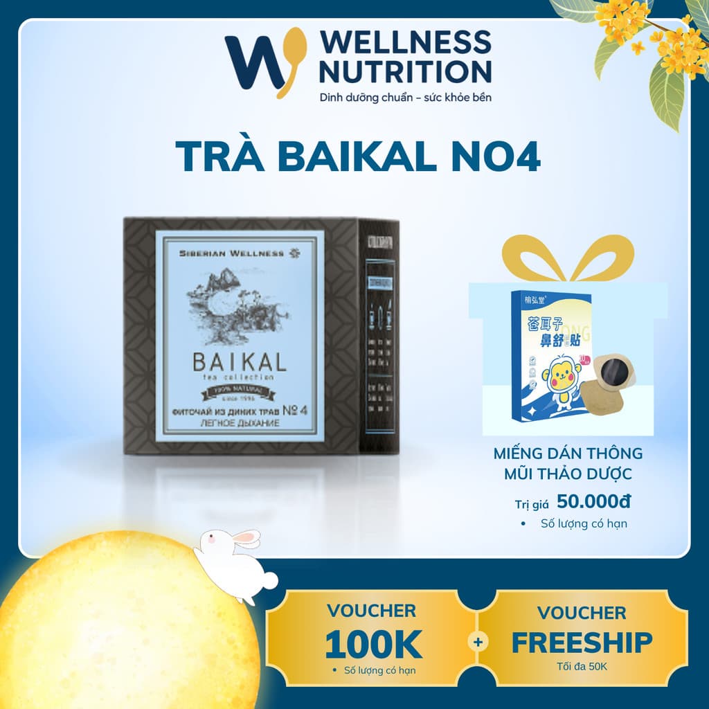[Trà hô hấp N4] Thực phẩm bảo vệ sức khỏe Trà thảo mộc Baikal tea collection Herbal tea N4 - 30 gói