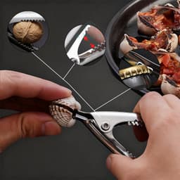 Aanadel📢Dụng cụ mở nắp chai bằng thép không gỉ hình sò lông kẹp óc chó đa năng cho nhà bếp 2