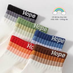 Vinbeo SET 10 Đôi Tất Cổ Ngắn Phối Màu Cotton Co Giãn 4 Chiều Thấm Hút Mồ Hôi Tối Đa Cho Nam Nữ tatnu tatnam VINBEO 3