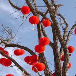 Set 10 Đèn lồng đỏ NILON trang trí Tết, lồng đèn trang trí Lễ Tết , đèn lồng treo decor ngày Tết 5