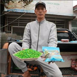 [ NGÔ HỒN LÀO ] NGÔ NGỌT Ủ SẴN HƯƠNG LIỆU, NGÔ NGỌT Ủ SẴN HỒN LÀO - ĐCĐB 4