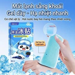 Set 10 miếng dán hạ nhiệt mát lạnh,  dịu mát, tiện lợi mỗi ngày (1 bịch /2 miếng) 2