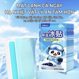 Set 10 miếng dán hạ nhiệt mát lạnh,  dịu mát, tiện lợi mỗi ngày (1 bịch /2 miếng) 3