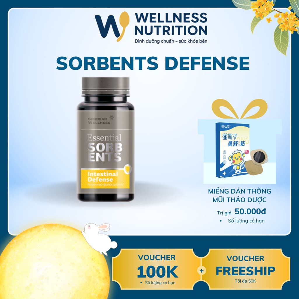 Essential Sorbents Intestinal Defense Siberian, Hỗ trợ nhuận tràng, giúp giảm táo bón - Chai 80g