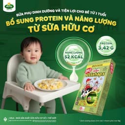 [BẢN CAO CẤP DATE 12/2026] Phô Mai Arla Organic Hữu Cơ 12 Thanh/Hộp 3