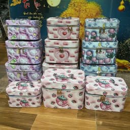 hộp đựng đồ trang sức có quoai xách tay thuận tiện sử dụng 7