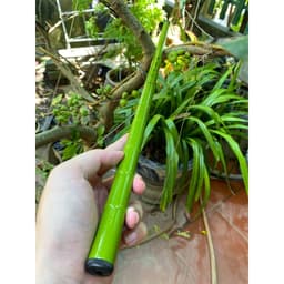 Cần câu tay Trúc Xanh 3h full xanh như hình Carbon Tặng kèm phụ kiện đầy đủ đi câu 5
