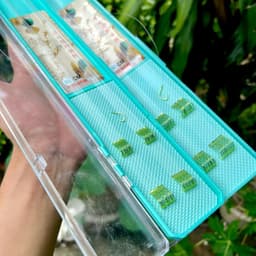 20 bộ thẻo đôi buộc sẵn câu đài nanh sói chuyên câu rô diếc chép 5