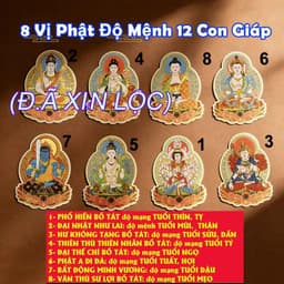 Miếng Dán Điện thoại Phật Bản Mệnh 12 Con Giáp Chất Liệu Cao Cấp , Trang Trí hoặc Tặng Quà Ý Nghĩa 1