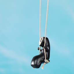 Dây treo VÔ DIỆN ngồi xích đu Vùng đất linh hồn phụ kiện treo trang trí nhà xe ô tô 6