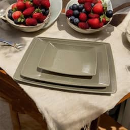 Đĩa nhựa chữ nhật Vân gỗ hàng cao cấp Việt Nhật 4 size,đĩa nhựa phíp Melamine cho nhà hàng, quán lẩu, nướng 2