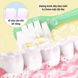 Set 2 Bàn Chải Đánh Răng Hình Khủng Long Con Cho Bé 2-12 Tuổi Lông Siêu Mềm Hình Hoạt Hình Dễ Thương 5