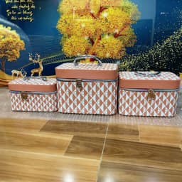 hộp đựng đồ trang sức có quoai xách tay thuận tiện sử dụng 4