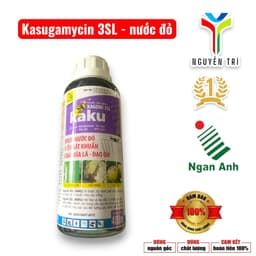 Kasumin 3SL-Kaku Ngân Anh 4