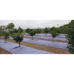 Bạt phủ cỏ cuộn 1m2 dài 200m - vải địa kỹ thuật (siêu thấm nước,độ bền 3-4 năm) 8