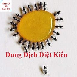 [10 LỌ] Thuôc Diệt Kiến Gián Sinh Học Hàng Việt Nam Chất Lượng Cao Lọ 10ml, An Toàn Tuyệt Đối 3