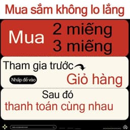A0920  Hàng mới về! Áo thun tay ngắn in họa tiết, làm từ cotton nguyên chất, mềm mại và thoải mái. 9