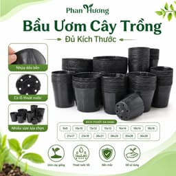 Bầu ươm cây trồng đủ kích thước 1
