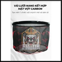 Mặt Vợt Đông Sơn 1