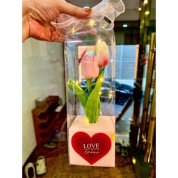 🌷 Combo SỈ -  Hộp Hoa Tulip Hộp Trong Suốt Kèm Đèn Led – Quà Tặng 💖 Ngọt Ngào &amp; Ý Nghĩa 🌷 3