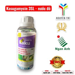 Kasumin 3SL-Kaku Ngân Anh 1