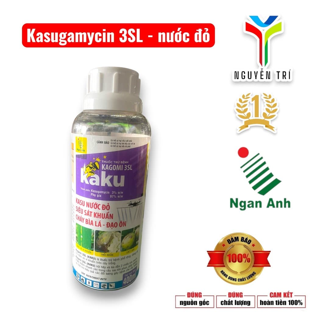Kasumin 3SL-Kaku Ngân Anh