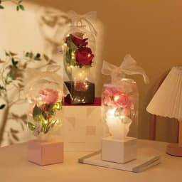 🎁 SET 10 Hộp Mica Đựng Hoa Trong Suốt (KHÔNG HOA) – Quà Tặng Sang Trọng, Decor Tinh Tế 3