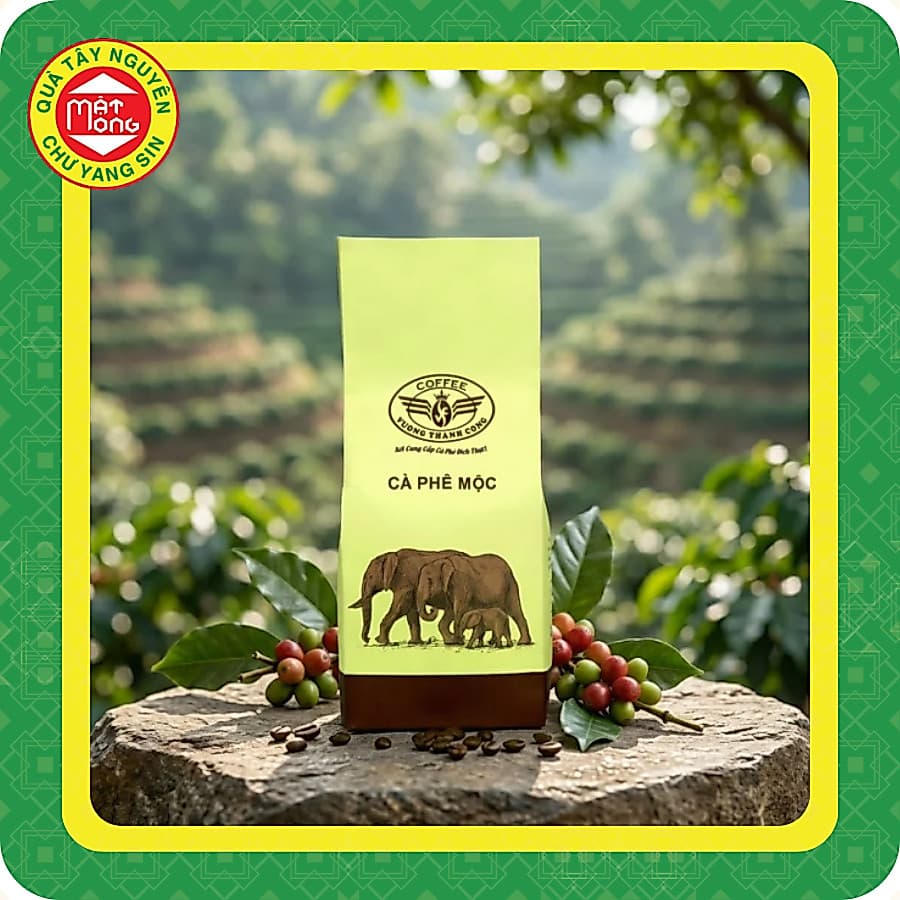 Cà phê Mộc Vương Thành Công 500G - Quà Tây Nguyên