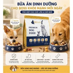 (Bao 10kg )Hạt Gemlucky Thức ăn hạt cao cấp dành cho chó mọi lứa tuổi Mix 5 Toping 5