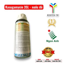 Kasumin 3SL-Kaku Ngân Anh 3