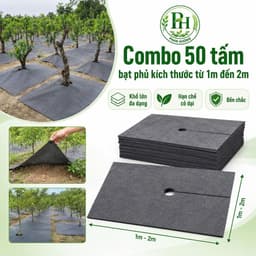 50 tấm bạt phủ gốc cây vải địa kỹ  thuật  kích thước từ 1m đến 2m 1